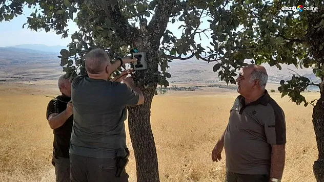 Elazığ'da Yaban Hayatı Koruma Altında: Fotokapanlar Kaçak Avcıların Peşinde