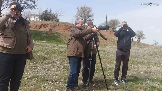 Elazığ'da Göçmen Kuşlara Güvenli Rota: Milli Parklar Müdürlüğü'nden Önemli Çalışma!