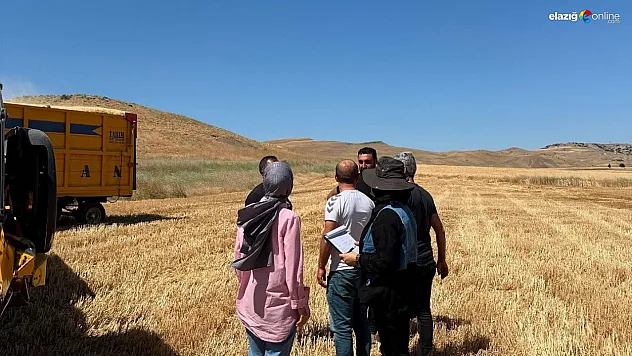 Karakoçan'da Hasat Mevsimi Başladı: Ekiplerden Güvenlik Denetimi!