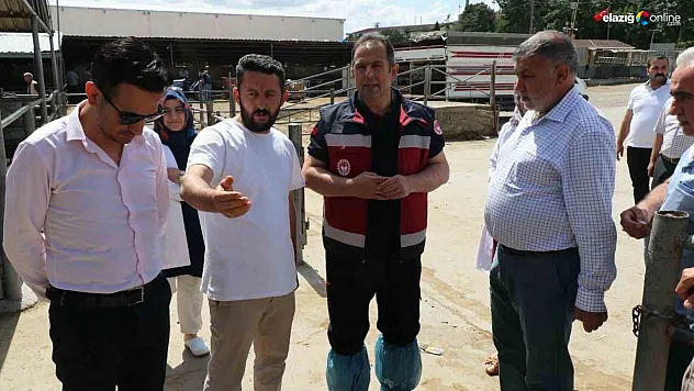 Elazığ'da hayvan satış yerleri denetlendi