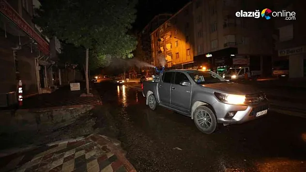 Elazığ Belediyesi kent genelinde ilaçlama çalışmalarını sürdürüyor