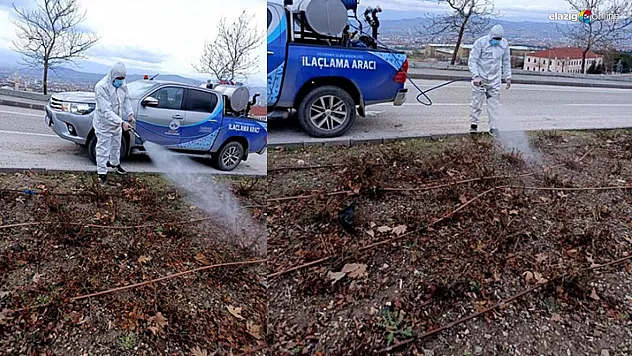Elazığ'da ilaçlama çalışmaları sürüyor