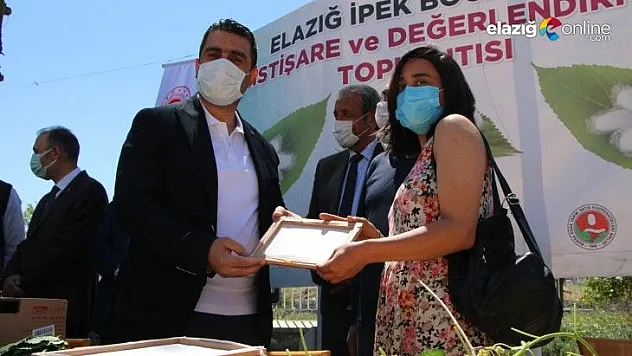 İpek böcekçiliği yeniden canlanıyor