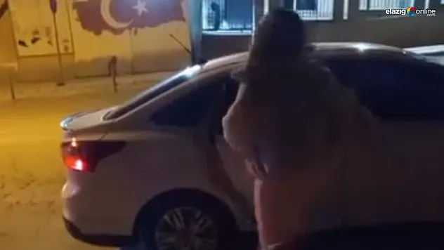 Elazığ'da Kadının Araç Saldırısı Kamerada: Ayna Kırıldı, Camlar Yumruklandı!