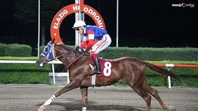 Elazığ'da Jandarma Koşusu Heyecanı: 'Ahmet Ağa' Rakiplerini Geride Bıraktı!