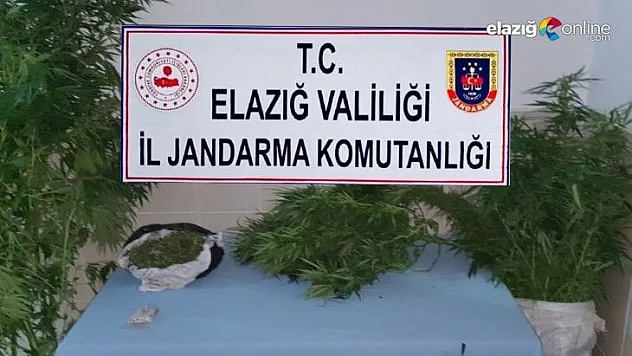 Zehir tacirlerine yönelik operasyonlar devam ediyor