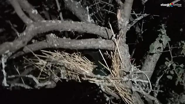 Kaçak avcı denetiminde bıldırcın sesi çıkaran cihaz ele geçirildi