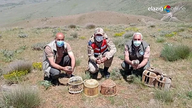 Kaçak avda yakalanan 3 şahsa işlem yapıldı