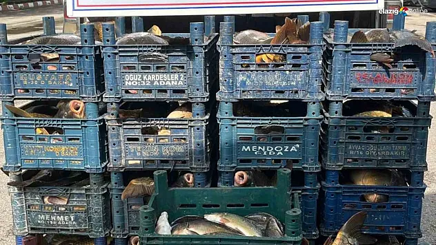 Elazığ'da kaçak avcılara geçit yok!