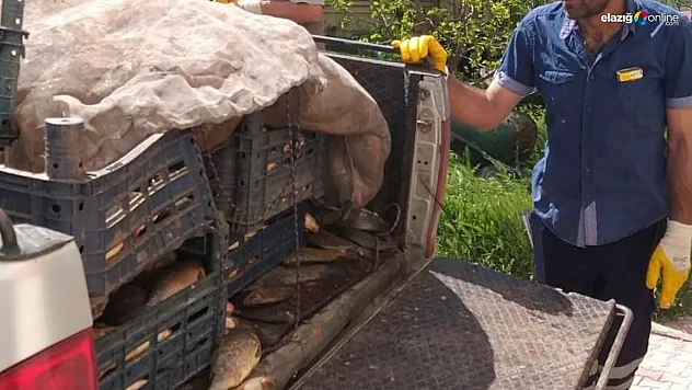 Kaçak Avcılara Darbe! Bir Araç Dolusu Kaçak Balık Yakalandı!