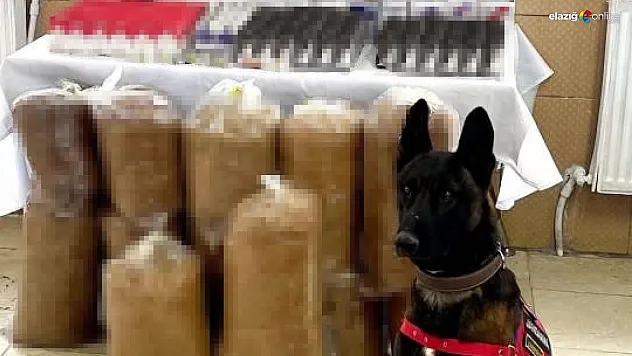 Elazığ'da kaçakçılık operasyonu!