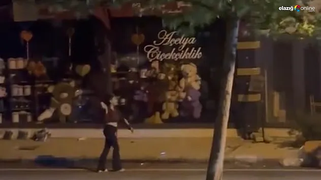 Elazığ'da Çiçekçi Dükkanına Taş Yağmuru! Saldırgan Kadın Kameraya Yansıdı!