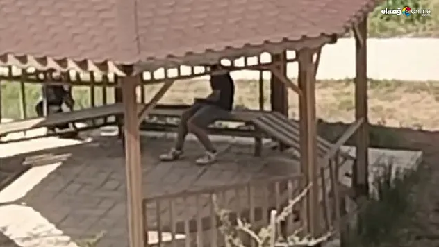 Elazığ Yemişlik'te Kamu Malına Saldırı: O Anlar Anbean Görüntülendi!