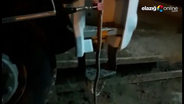 Kamyonun kabininden yılan çıktı