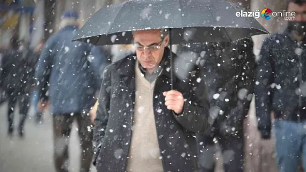 Elazığ'da yağan kar sevinçle karşılandı