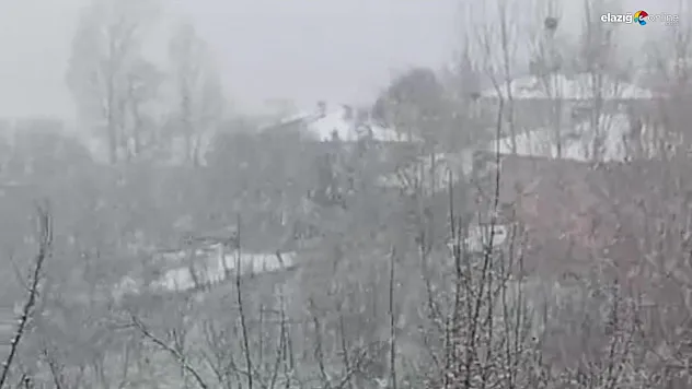 Karakoçan'da Bahar Yerini Kara Bıraktı! Yeşilbelen Köyü Beyaza Büründü!