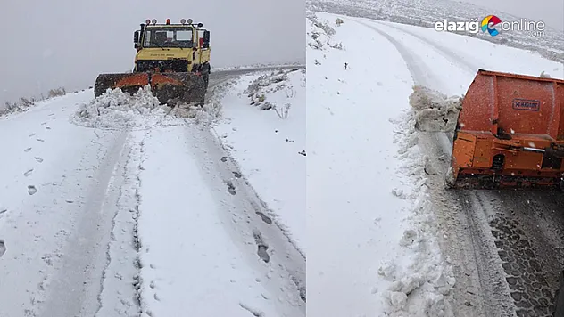 Elazığ'da karla mücadele başladı