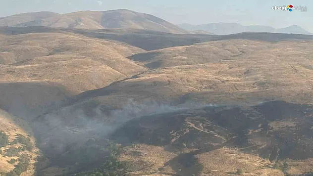 Karakoçan'da Tekrar Başlayan Yangın Kontrol Altına Alındı!