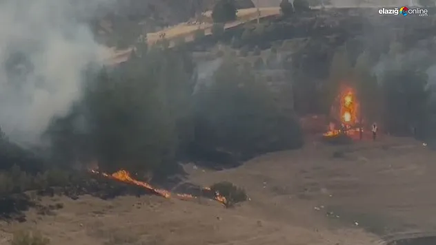 Elazığ'da Korkutan Yangın! Orman ve İtfaiye Ekipleri Harekete Geçti