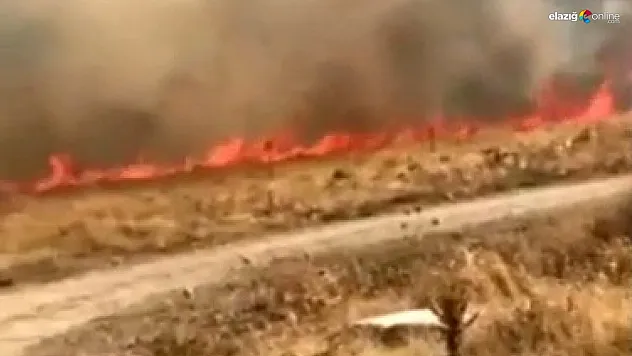 Otluk alanda korkutan yangın! Yaklaşık 10 dönüm alan zarar gördü