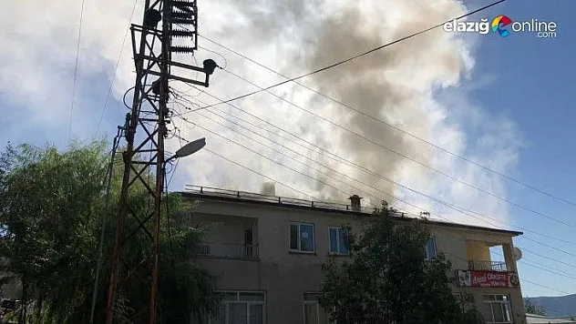 Arıcak'ta korkutan yangın