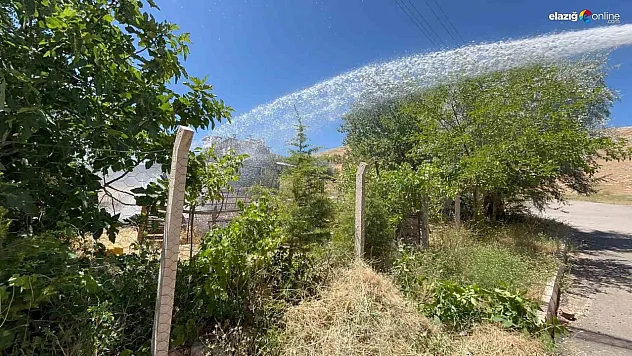 Kovancılar'da Çıkan Bahçe Yangını Büyümeden Söndürüldü!