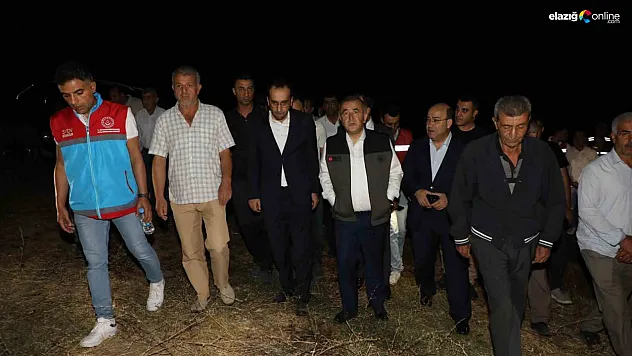 Kovancılar Ekinözü Köyünde Çıkan Yangın Kontrol Altına Alındı!