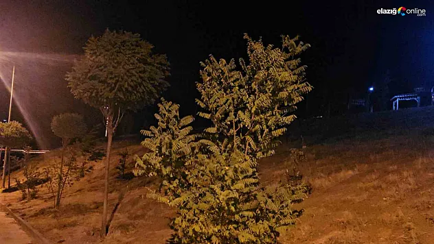 Elazığ'da Kuvvetli Rüzgar Gece Boyunca Etkili Oldu!