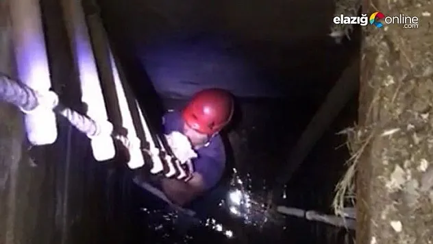 Kuyuya düşen kediyi itfaiye ekipleri kurtardı