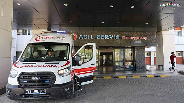 Elazığ'da arazi anlaşmazlığı kanlı bitti: 1 ölü