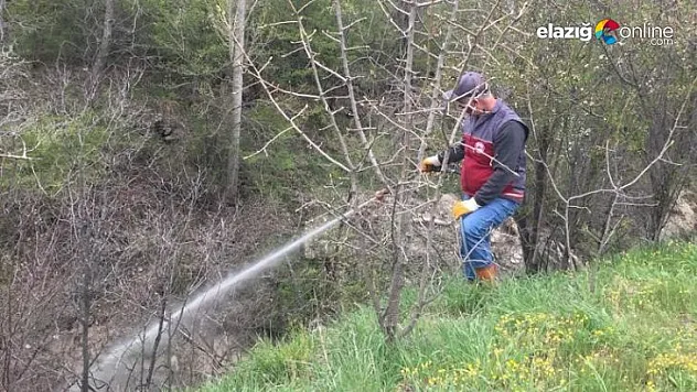 Elazığ İl Özel İdare haşere ile mücadeleye devam ediyor
