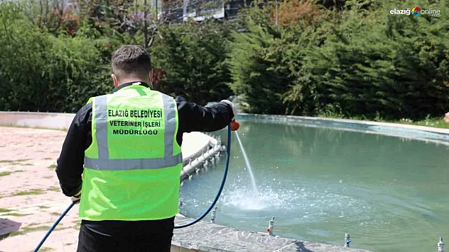 Larva ile mücadele çalışmaları sürüyor