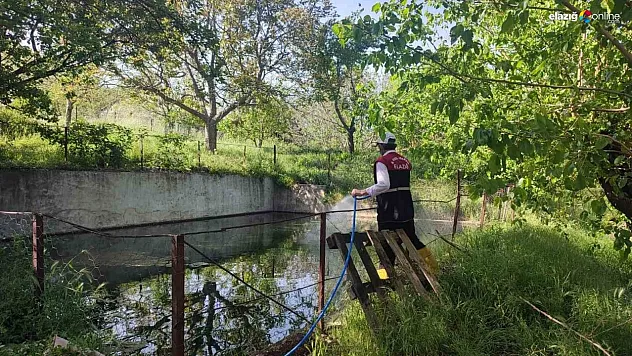 Elazığ İl Özel İdaresi Sinek ve Haşereye Savaş Açtı! Yaz Ayı için Önlem Alındı!