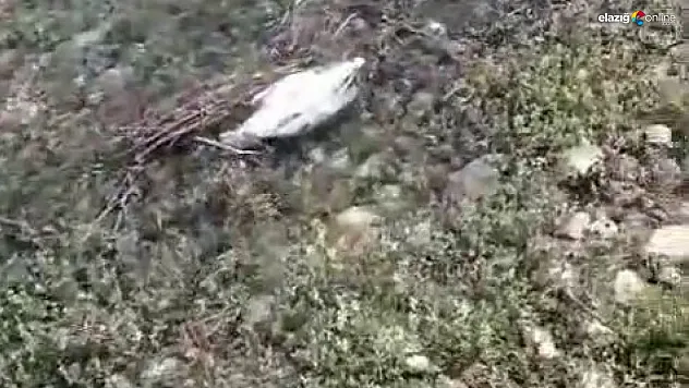 Ağın'da vatandaşlar tedirgin!