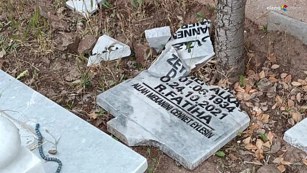 İşte 'vandalizim' budur!