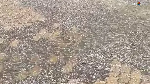 Kısa sürede çevreyi beyaza bürüdü