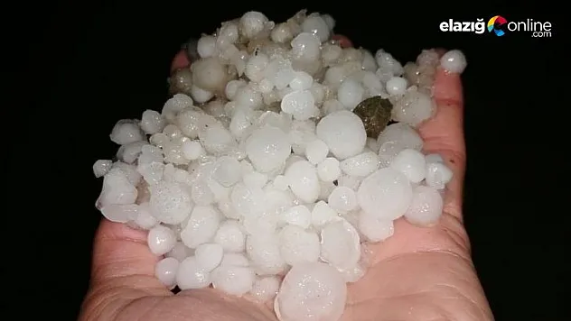 Elazığ'da misket büyüklüğündeki dolu, bahçelere zarar verdi