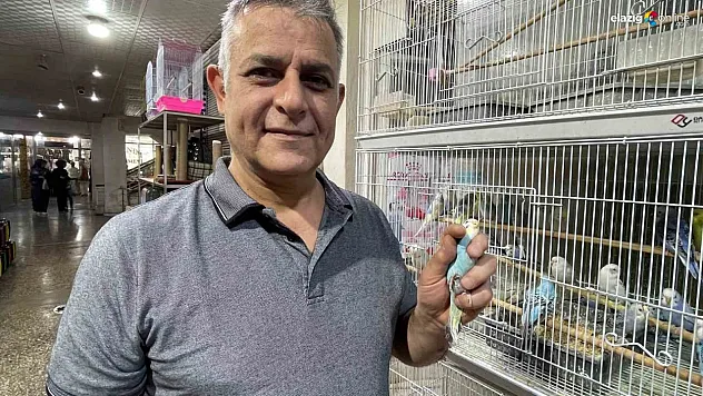 Çocuklar Çok Seviyor, Aileler Yoğun İlgi Gösteriyor: Elazığ'da Muhabbet Kuşu Rüzgarı!