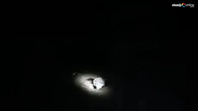 Oklu kirpi Baskil'de görüntülendi