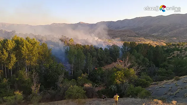 Elazığ'da orman yangını, 30 dönüm zarar gördü