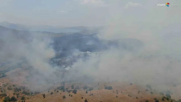 Elazığ'da orman yangını! Müdahale sürüyor