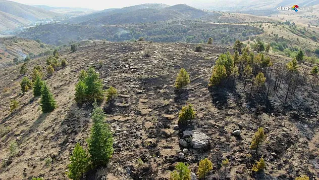 7 saatin ardından yangın kontrol altına alındı