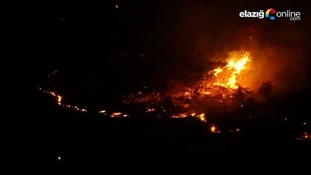 Elazığ'da orman yangını, müdahale sürüyor