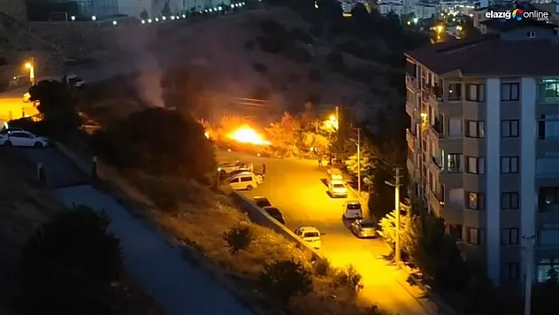 Elazığ Abdullahpaşa Mahallesi'nde Otluk Alanda Yangın Paniği!