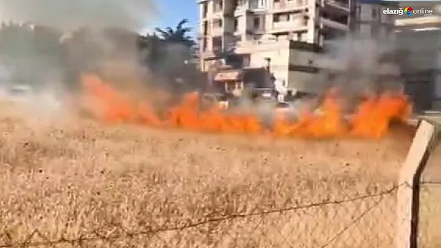 Elazığ'da Yangın Paniği! Otluk Alanda Çıkan Alevler Büyümeden Söndürüldü!