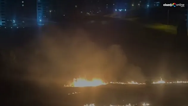 Çaydaçıra Mahallesi'nde Alevler Geceyi Aydınlattı: Yangın Kontrol Altında