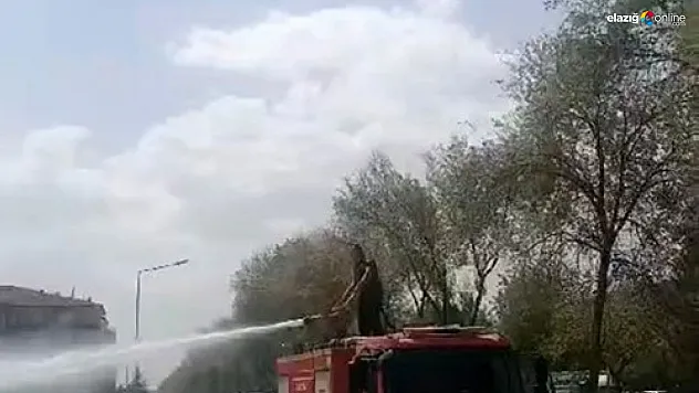 Otluk alanda yangın!