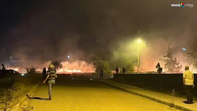 Karşıyaka Mahallesi'nde Çıkan Yangın Korkuttu! Otluk Alan Alev Aldı!