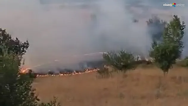 Elazığ Sivrice'de Otluk Alanda Yangın! Köylüler ve İtfaiye Seferber Oldu!