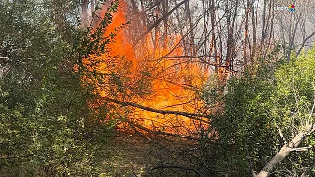 Elazığ Karakoçan'da Yangın! Ağaçlar Küle Döndü!